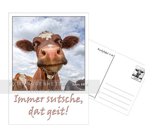 47++ Suesse kuh sprueche , Postkarte Kuh Immer sutsche, dat geit! FotoAugenweide Evelyn Mazanke